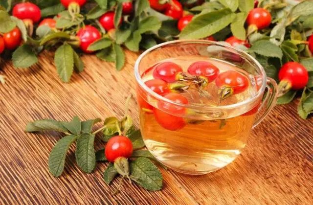 Is it possible to give rose hips to children: fruits, decoctions, infusions