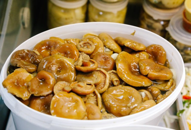 Is it possible to salt milk mushrooms and mushrooms together: salting and pickling recipes