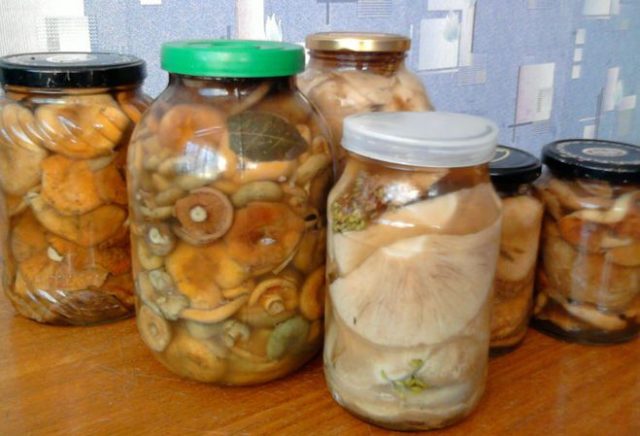 Is it possible to salt milk mushrooms and mushrooms together: salting and pickling recipes