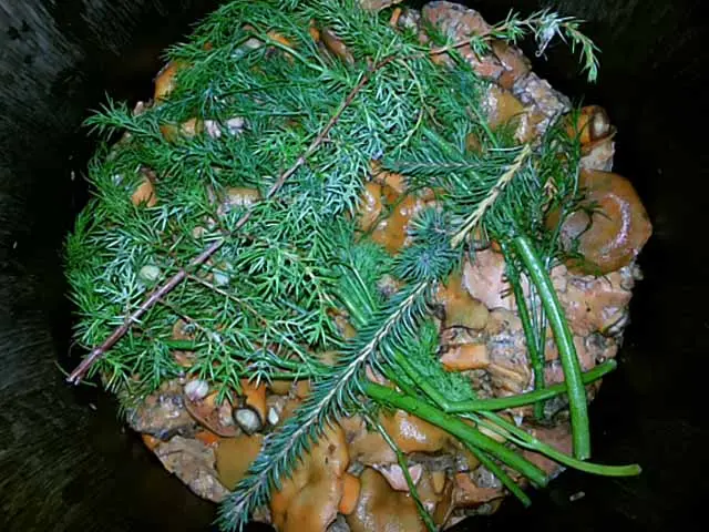 Is it possible to salt milk mushrooms and mushrooms together: salting and pickling recipes
