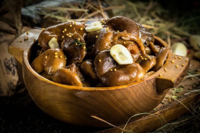 Is it possible to salt milk mushrooms and mushrooms together: salting and pickling recipes