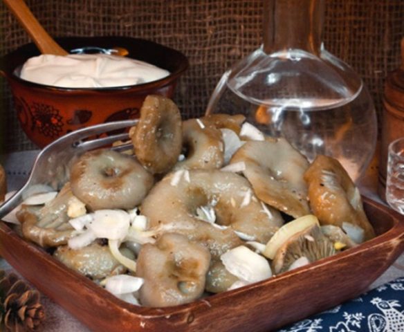 Is it possible to salt milk mushrooms and volnushki together