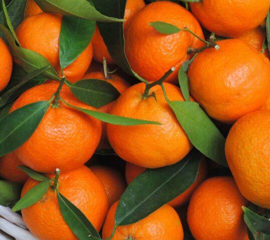 Is it possible to tangerines while breastfeeding