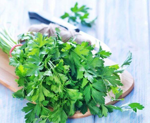 Is it true that parsley thickens the blood