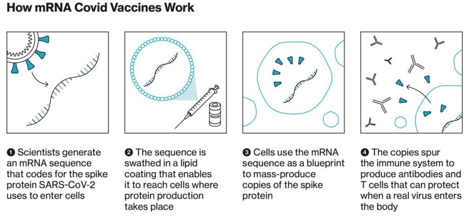 Is it true that the mRNA vaccine is clean? Here are 21 important questions about it