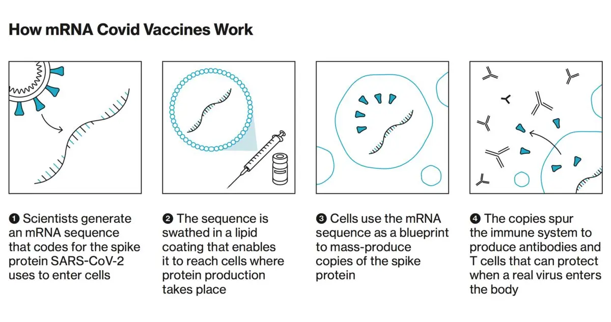 Is it true that the mRNA vaccine is clean? Here are 21 important questions about it