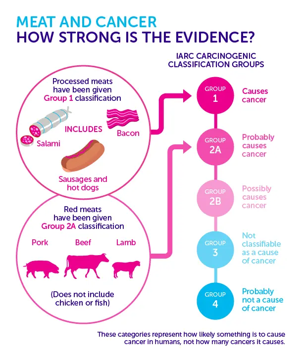 Is red meat carcinogenic? [WE EXPLAIN]