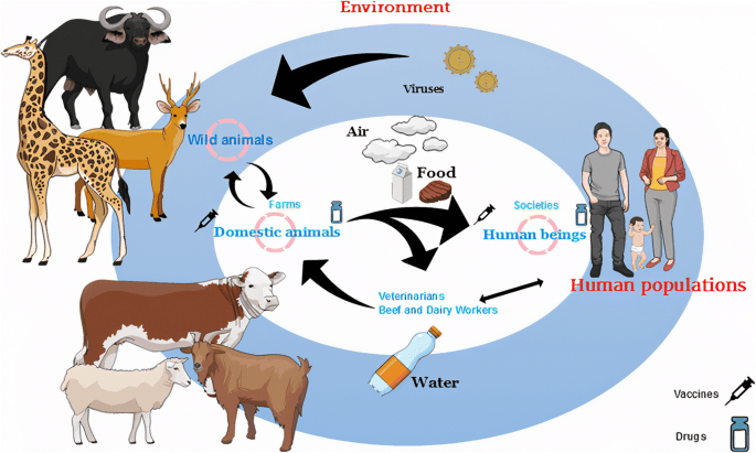 Is the bovine virus responsible for the cancer? New research