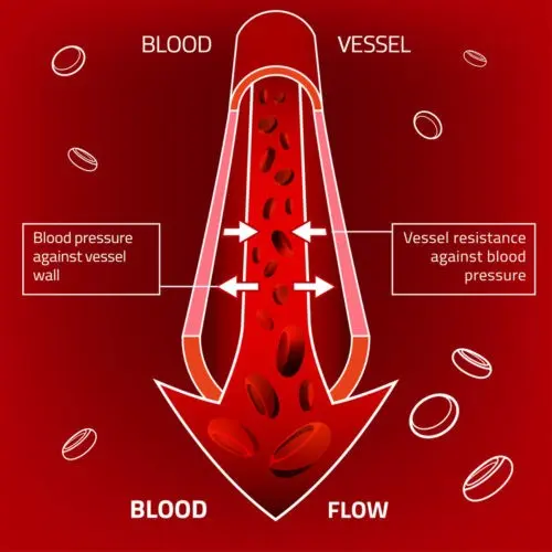 Is the penis pump effective?