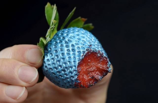 Is there a blue strawberry 