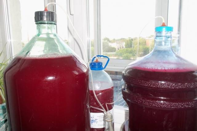 Isabella&#8217;s Homemade Grape Wine Recipe