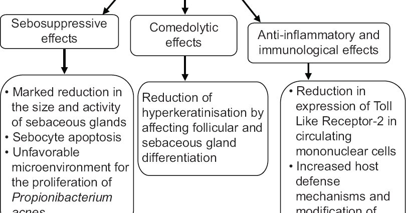 Isotretinoin &#8211; action, side effects and contraindications