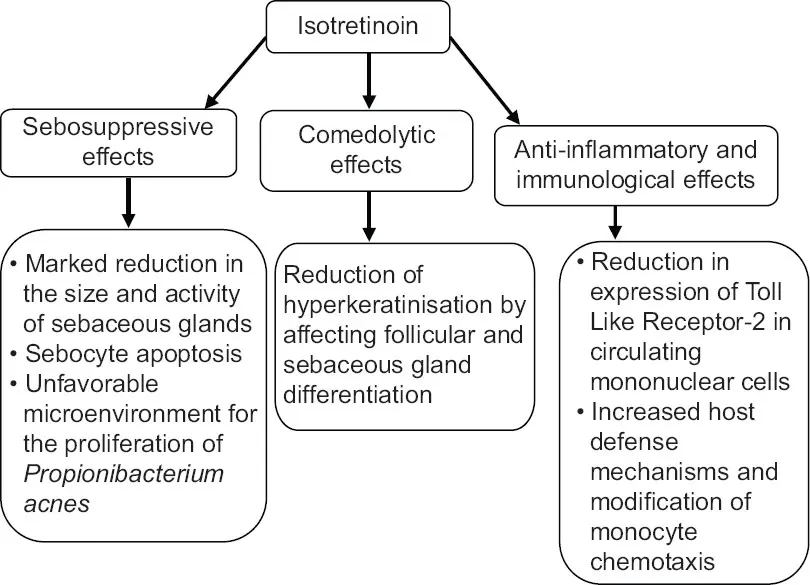 Isotretinoin &#8211; action, side effects and contraindications