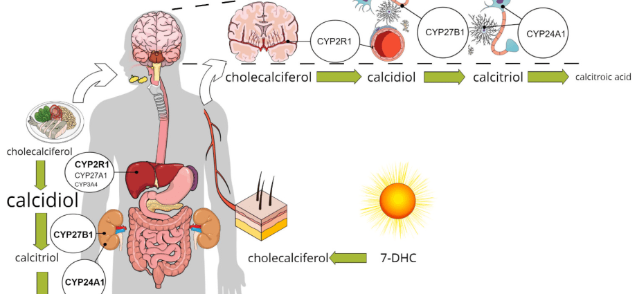 It protects against dementia, cancer and ADHD. Vitamin available for free