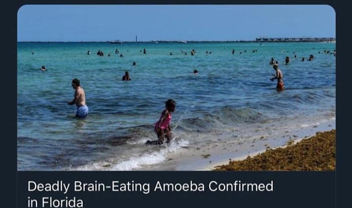 It was supposed to be an ordinary swimming in the lake. Amoeba &#8220;ate&#8221; his brain