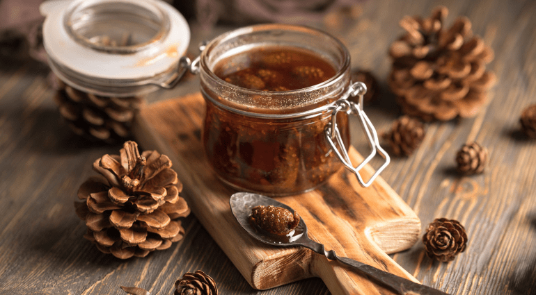 Jam from cedar cones: benefits and contraindications