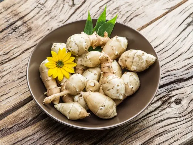 Jerusalem artichoke: benefits and harms to the body