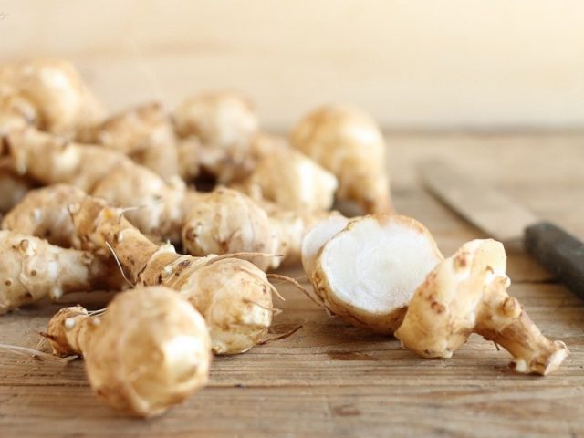 Jerusalem artichoke: benefits and harms to the body