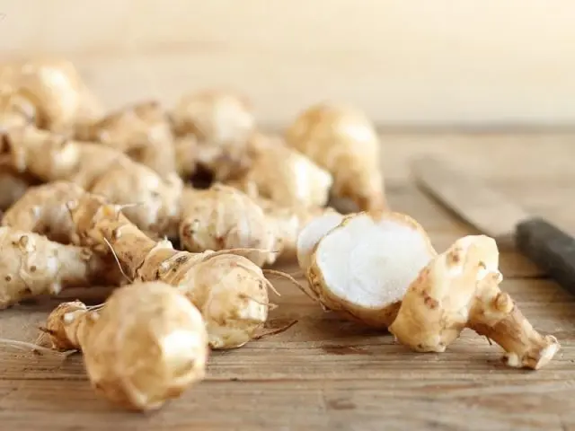 Jerusalem artichoke: benefits and harms to the body