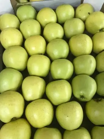 Jonathan apples: photo and description of the variety, how to store