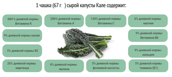 Kale (Kale): benefits and harms, composition and contraindications