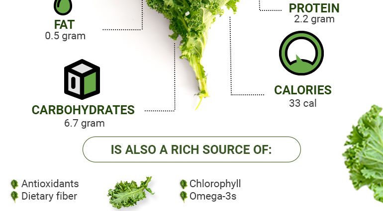 Kale &#8211; properties, preparation, recipes