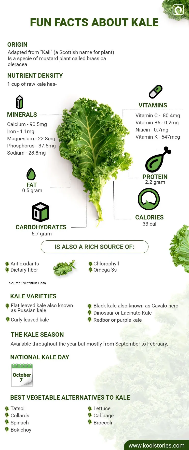 Kale &#8211; properties, preparation, recipes