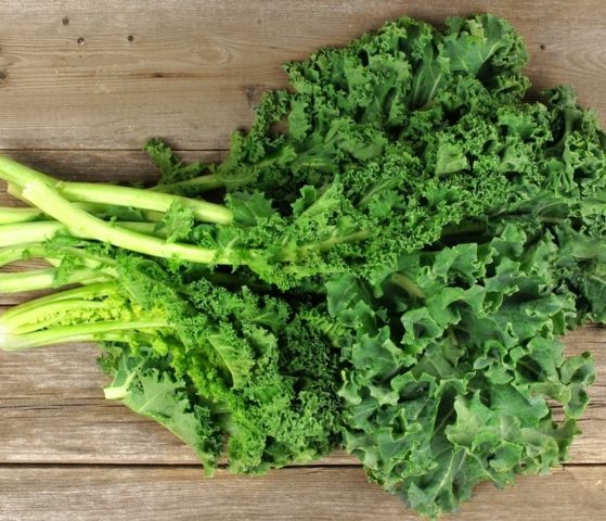 Kale salad: useful properties and contraindications