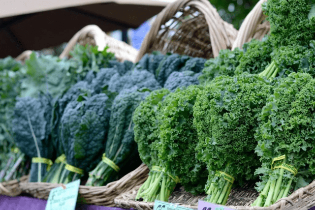 Kale salad: useful properties and contraindications