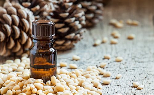 Kedrovka: a recipe for tincture with pine nuts