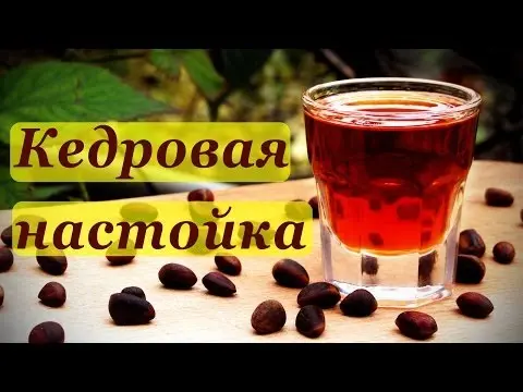 Kedrovka: a recipe for tincture with pine nuts