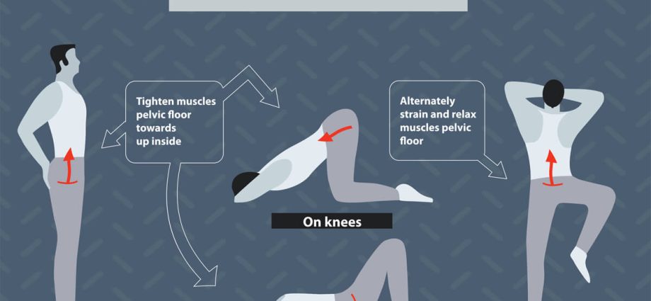 Kegel muscles in men and the problem of urinary incontinence. How to exercise your Kegel muscles?