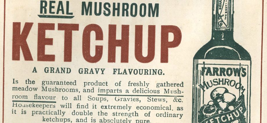 Ketchup as a cure for rheumatism and jaundice and other unbelievable medical stories that science verifies