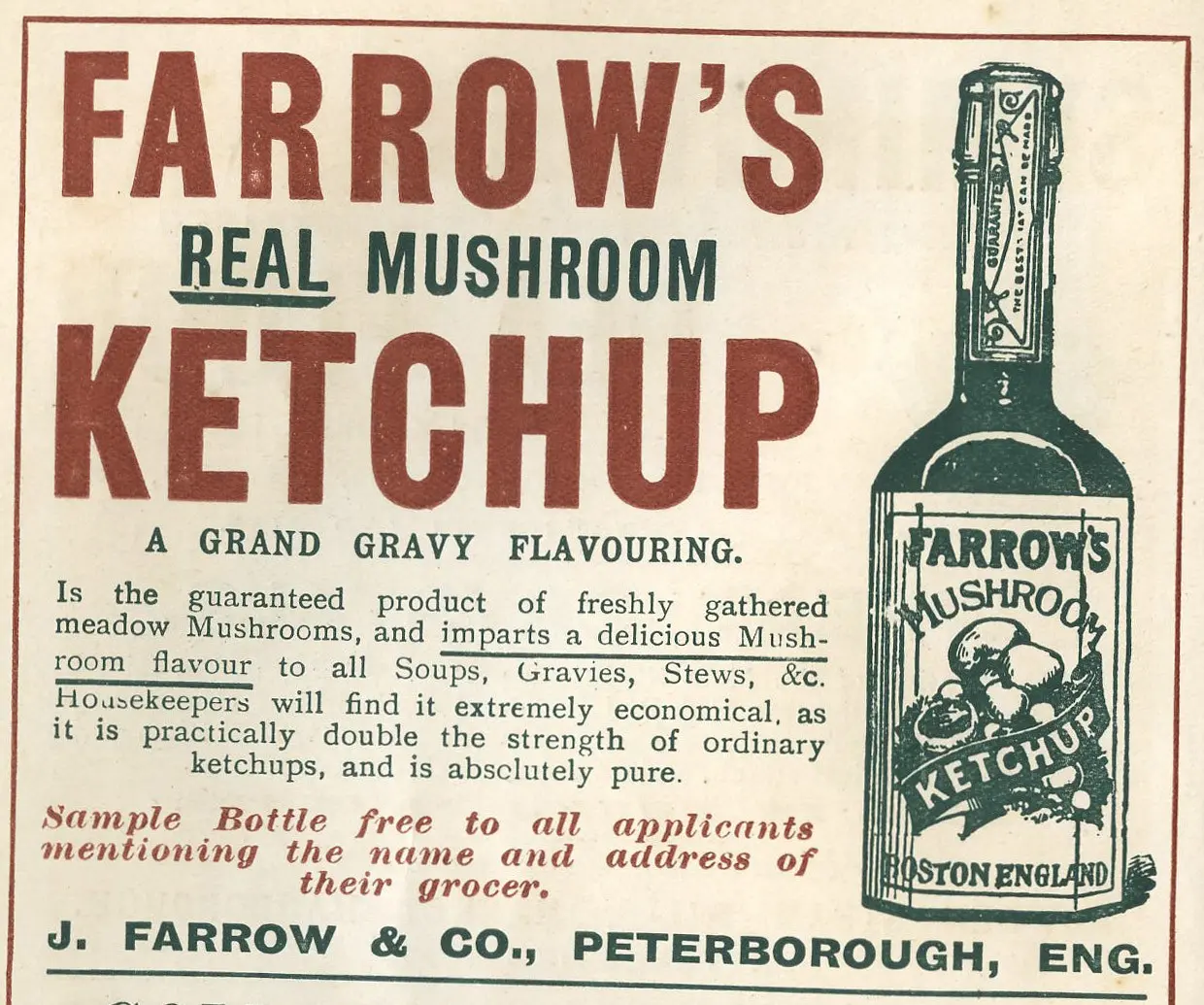 Ketchup as a cure for rheumatism and jaundice and other unbelievable medical stories that science verifies