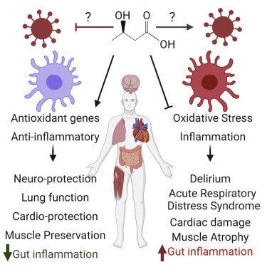 Ketones &#8211; a disease signal or legal afterburner?