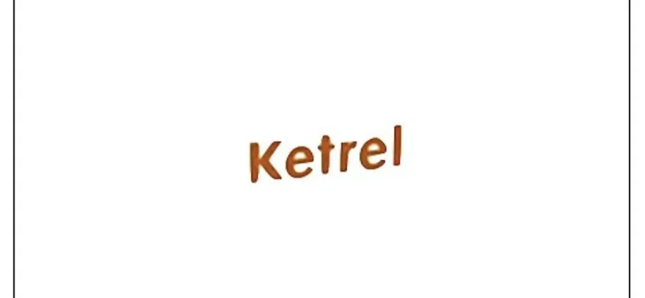 Ketrel (leaflet) &#8211; dosage and side effects of the drug