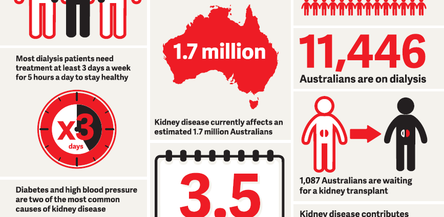 Kidney failure &#8211; statistics, symptoms, prevention. A silent epidemic that is not talked about