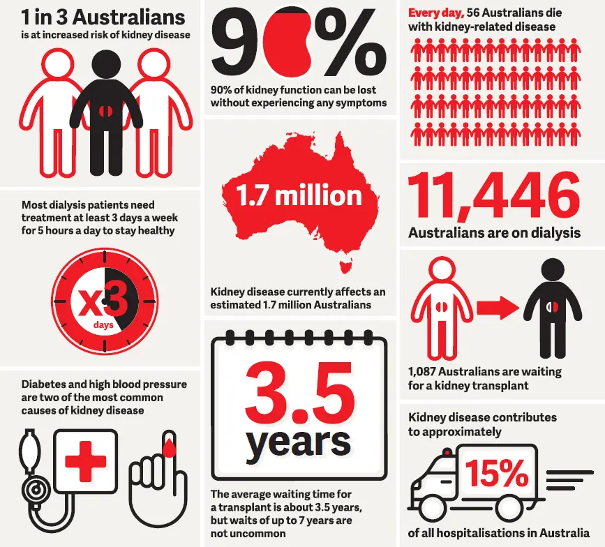 Kidney failure &#8211; statistics, symptoms, prevention. A silent epidemic that is not talked about