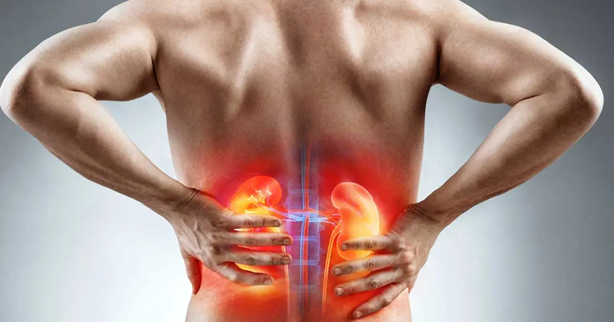 Kidney failure &#8211; the &#8220;silent killer&#8221; that has been destroying our health over the years.