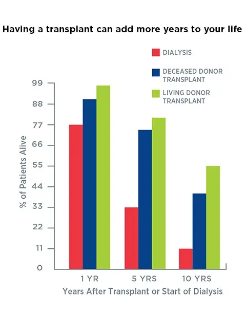 Kidney Transplant Better Than Dialysis? Specialists about living kidney donation