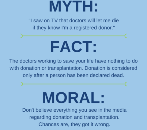 Kidney transplants &#8211; facts and myths. Checking!