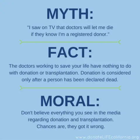 Kidney transplants &#8211; facts and myths. Checking!