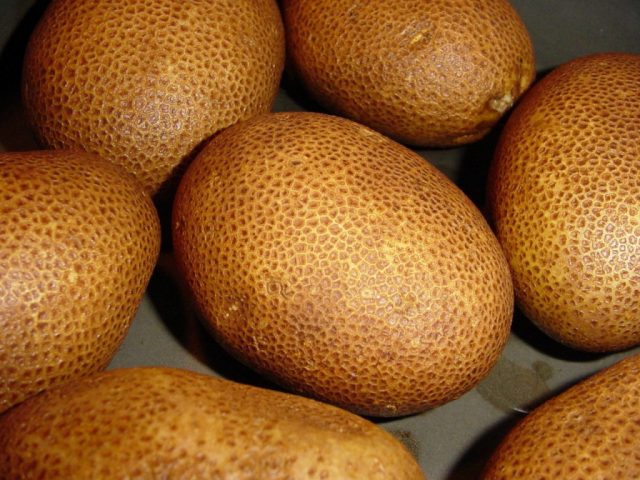 Kiwi potatoes: variety characteristics, reviews