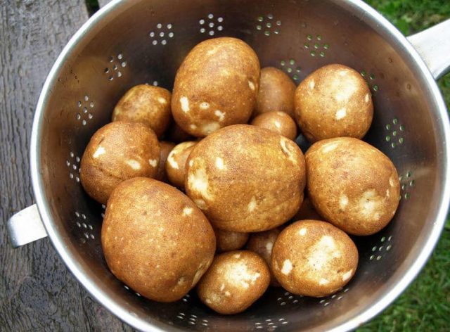 Kiwi potatoes: variety characteristics, reviews