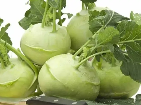 Kohlrabi cabbage: growing in open ground with seedlings and seeds