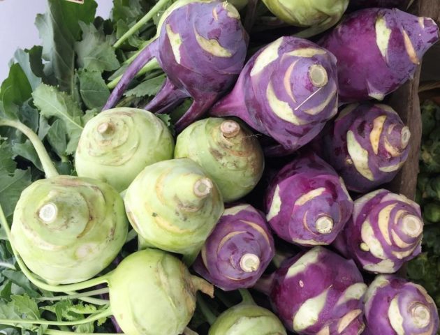 Kohlrabi cabbage: growing in open ground with seedlings and seeds