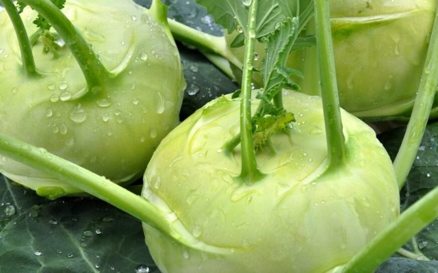 Kohlrabi cabbage: useful properties and contraindications