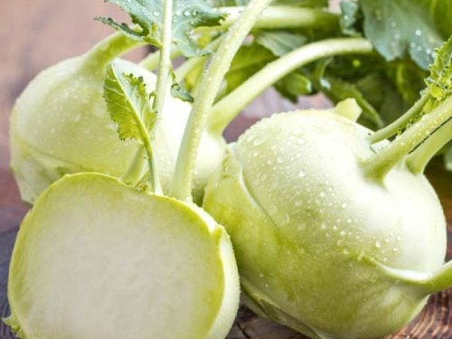 Kohlrabi cabbage: useful properties and contraindications