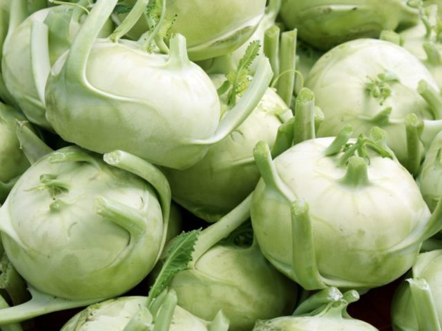 Kohlrabi cabbage: useful properties and contraindications