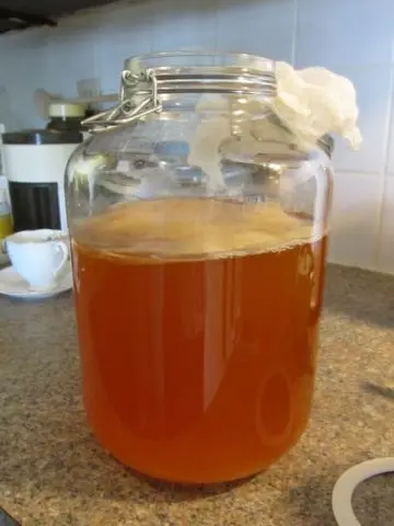 Kombucha: benefits and harms to the human body, composition, calorie content